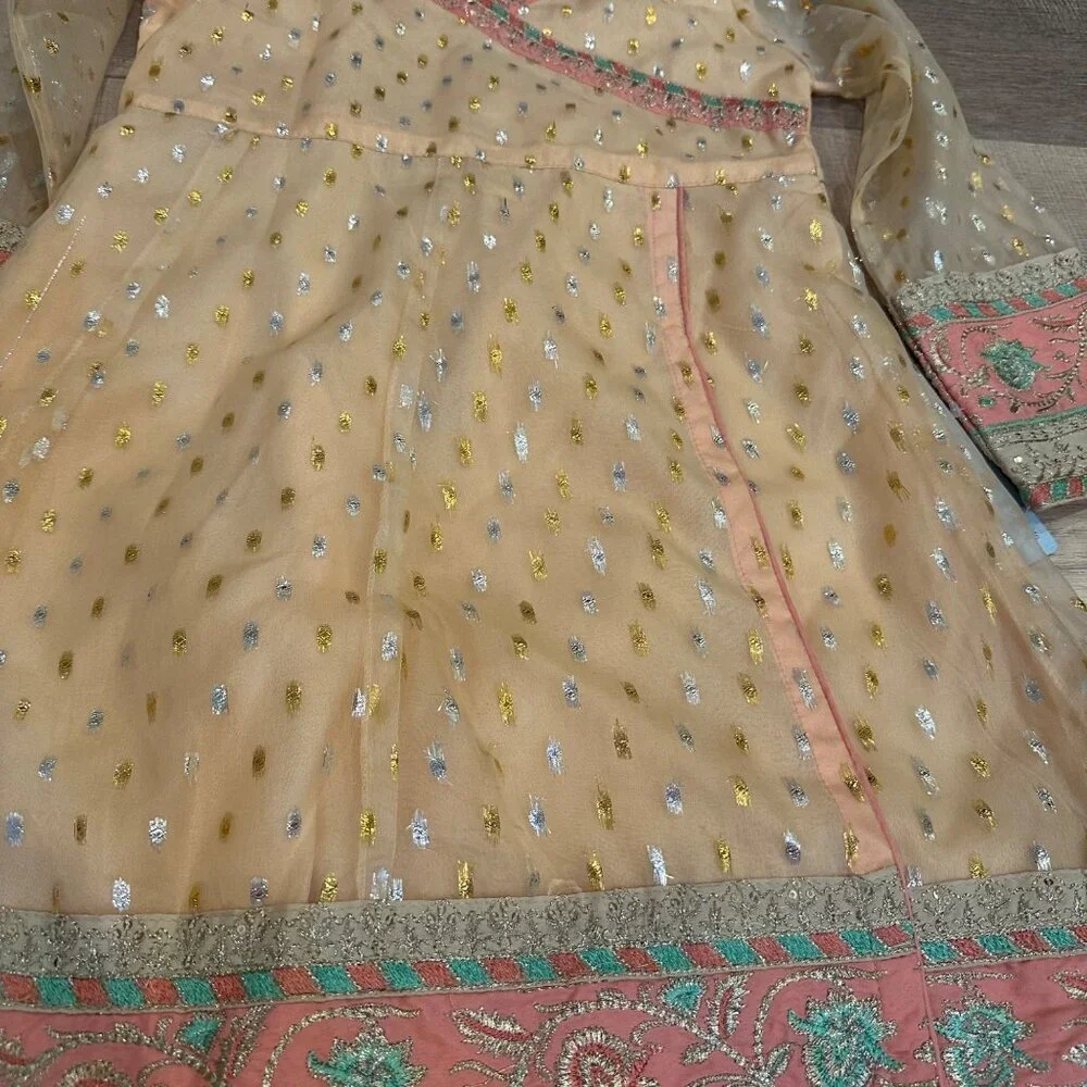 Girls Peach Traditional Embroidered Dress W/ Sheer Sleeves & Gold Detailing Size